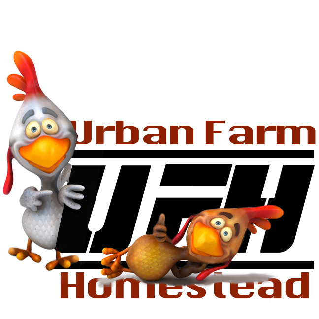 Urban Farm Homestead