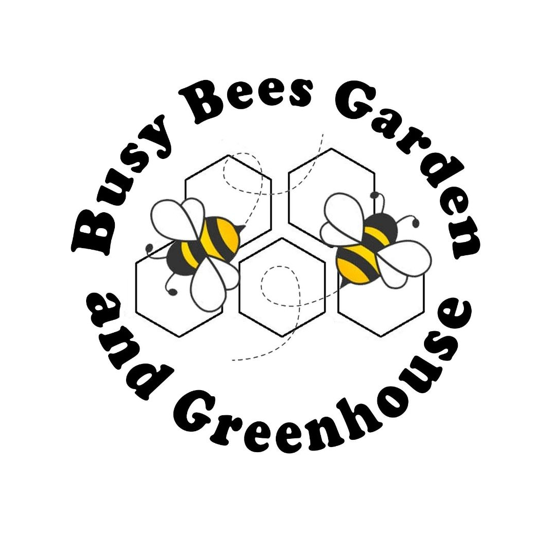Busy Bees Garden and Greenhouse 