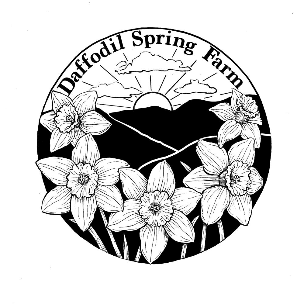 Daffodil Spring Farm - Pork CSA - Half Share