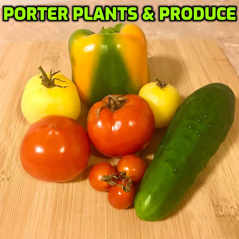 Porter Plants & Produce