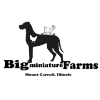 Big Miniature Farms