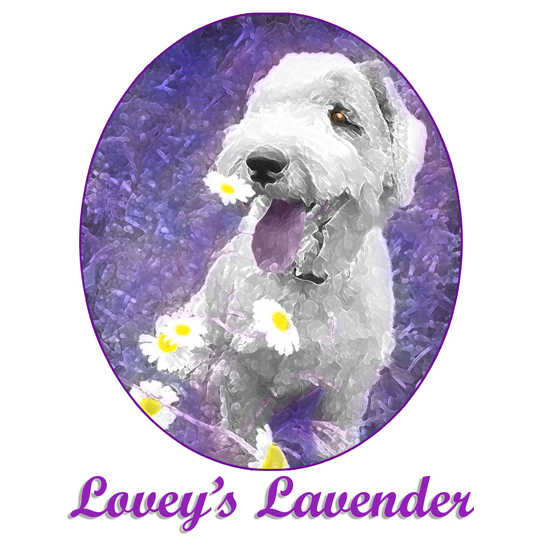 Lovey's Lavender