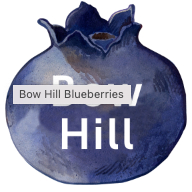 Bow Hill Blueberry