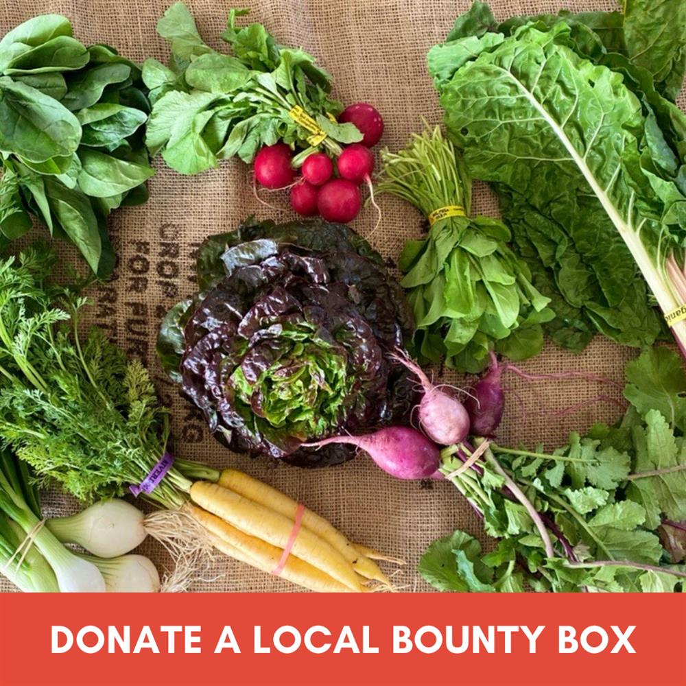 DONATE a Local Bounty Box