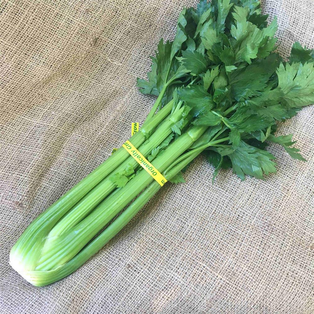 Celery