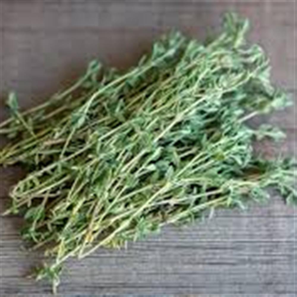 Thyme