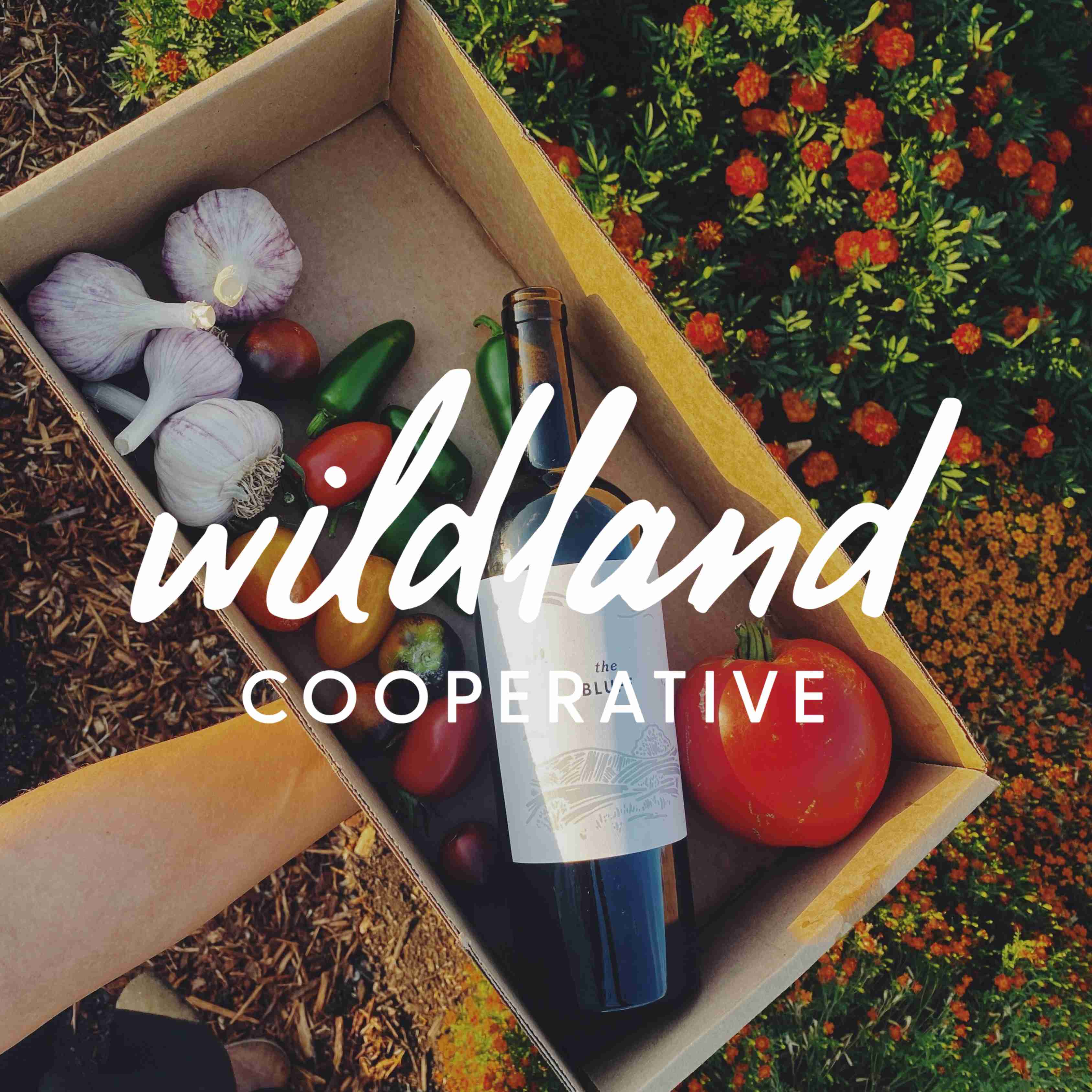 Wildland Cooperative