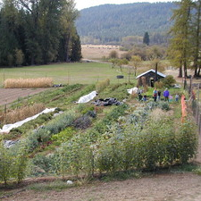 Vern's Veggies and More! / Spencer Heritage Farm