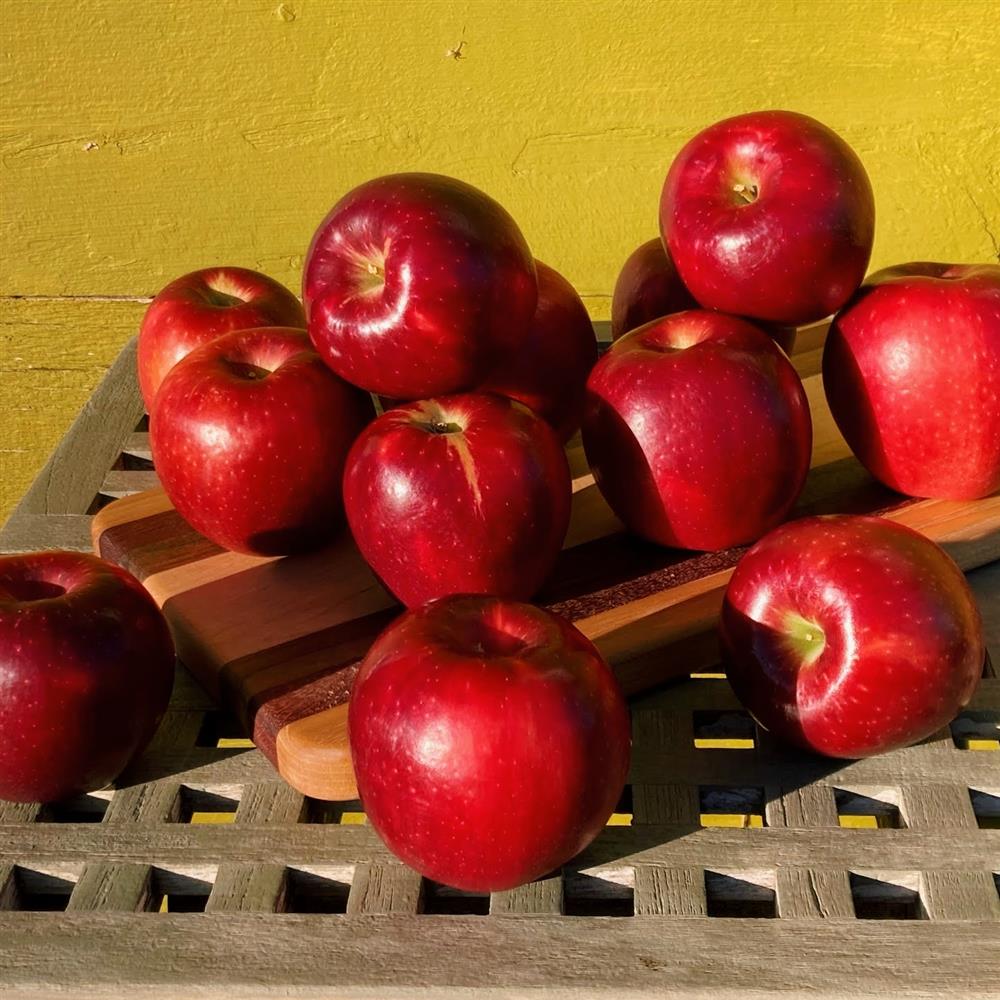 1 lb Organic Honeycrisp Apple - DAL Farm