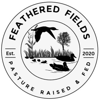 Feathered Fields