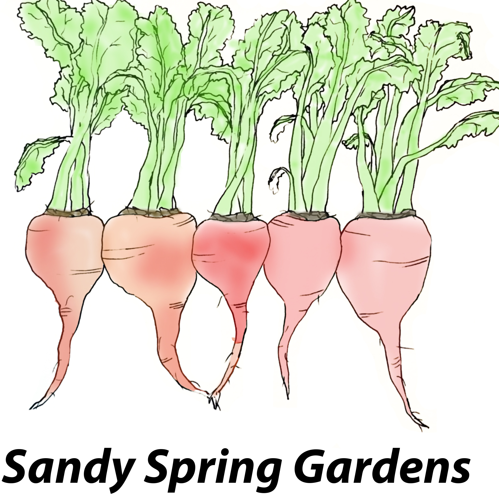 Sandy Spring Gardens
