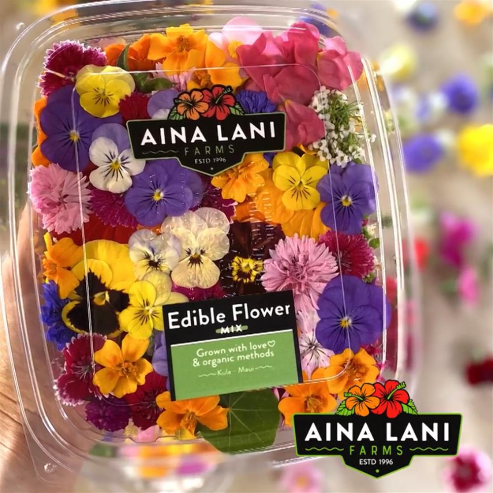 Edible Flower Mix (Small)