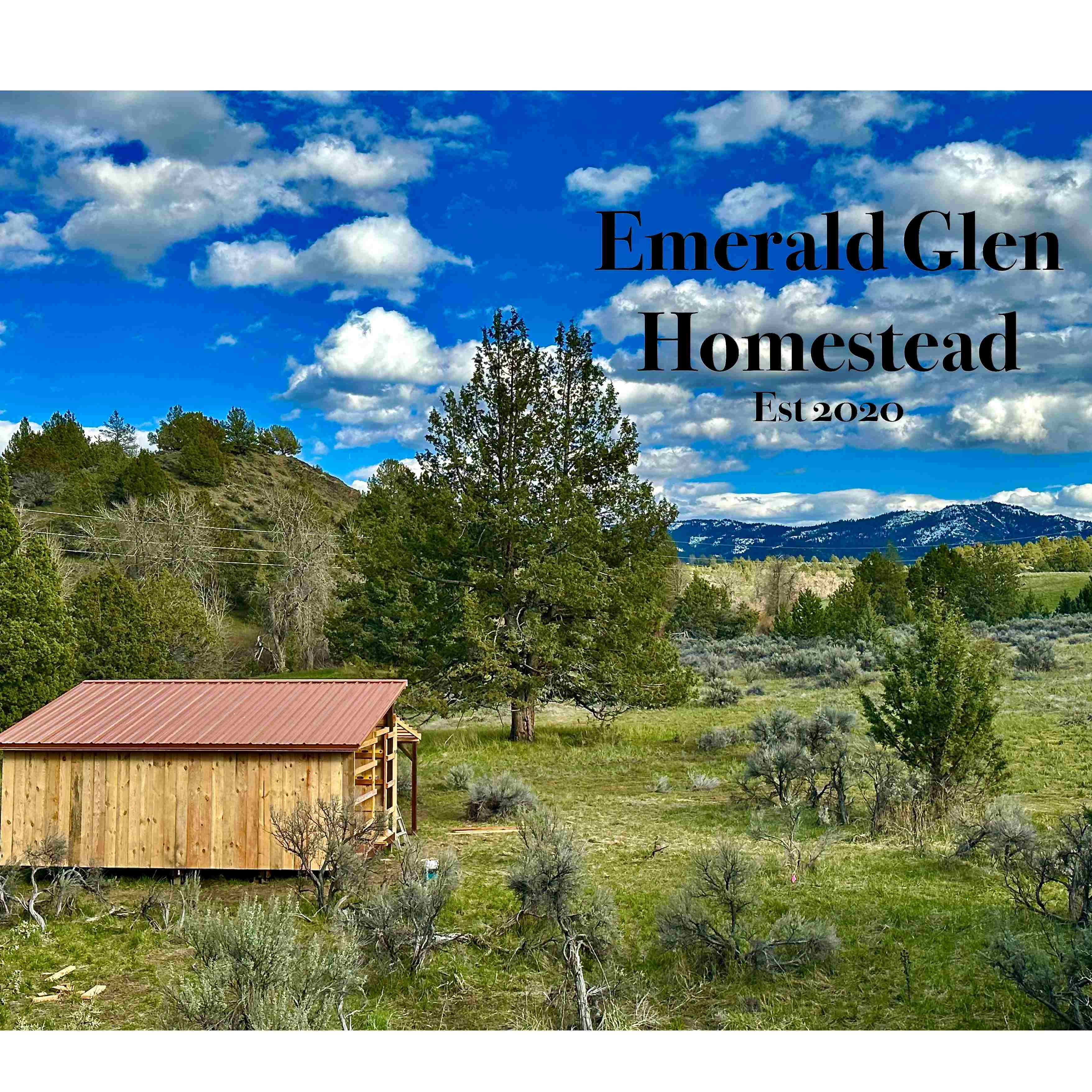 Emerald Glen Homestead