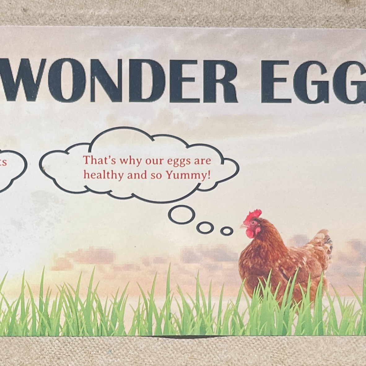 The Wonder Egg (Certified Organic)