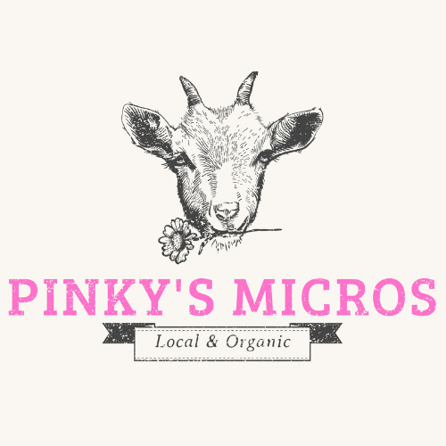 Pinky's Micros