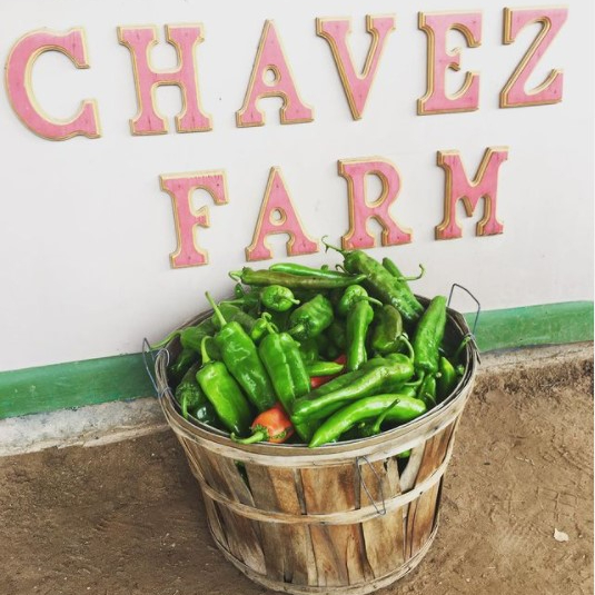 Chavez Farms