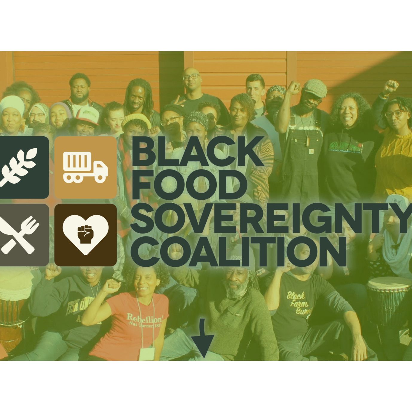 Black Food Sovereignty Coalition (Solidarity Payments)