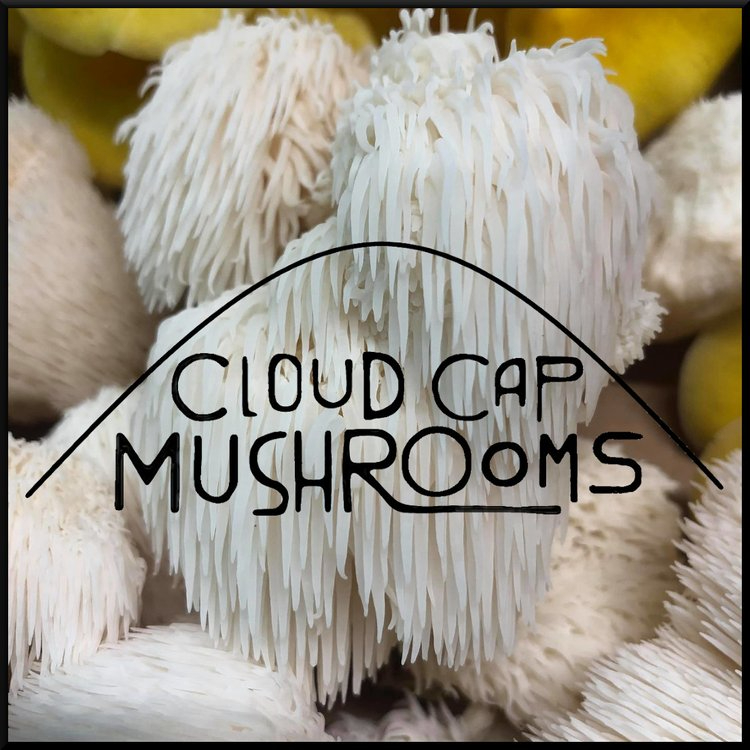 Cloud Cap Mushrooms 