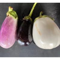 Eggplant, Mixed Purple and White