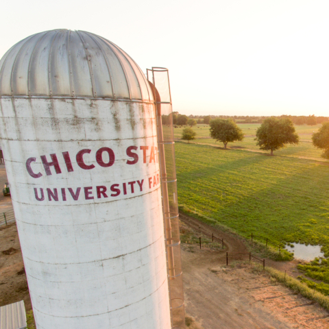 CSU, Chico University Farm Crops & Orchards