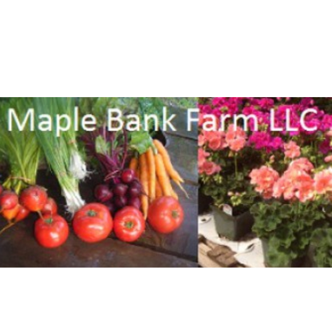 Maple Bank Farm