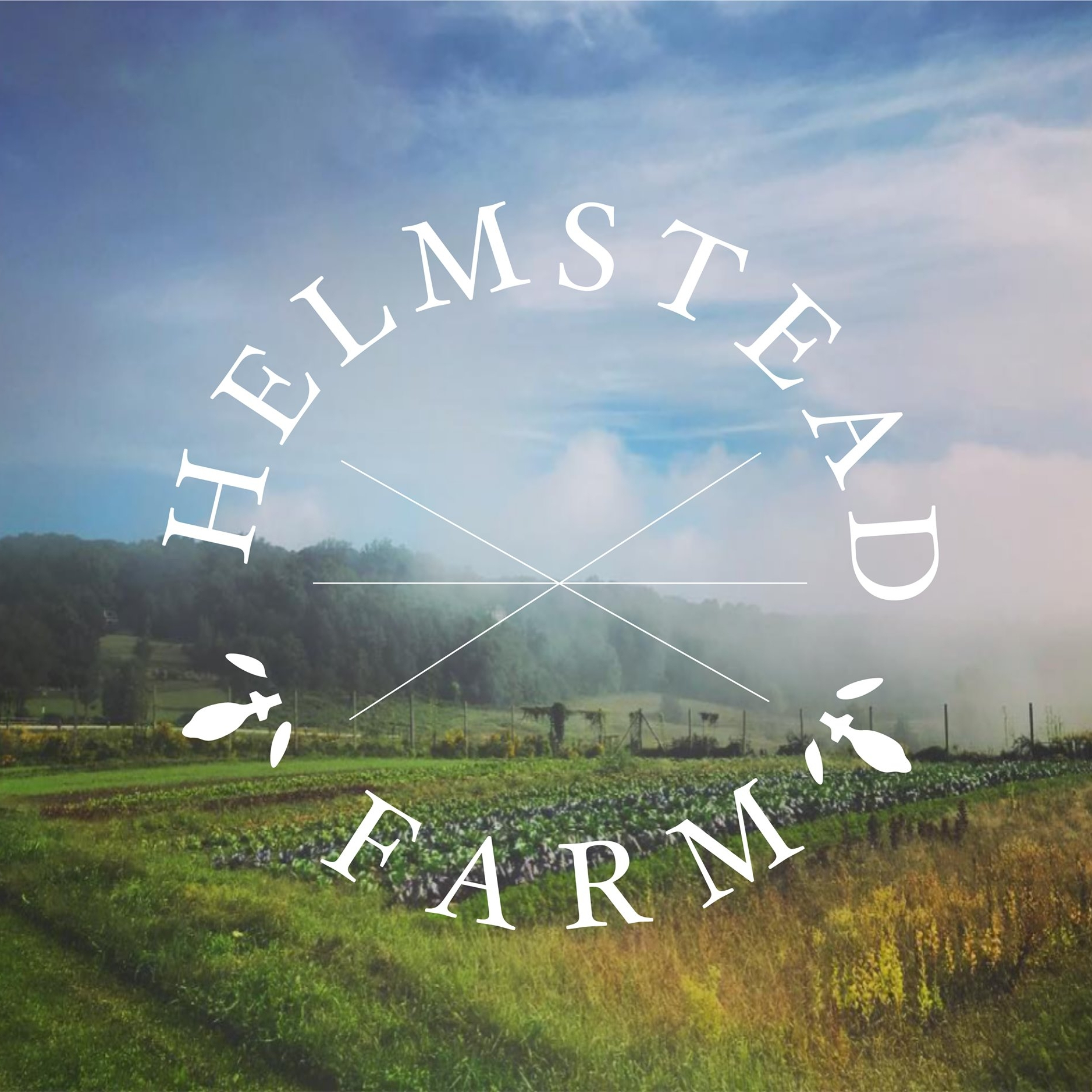 Helmstead Farm