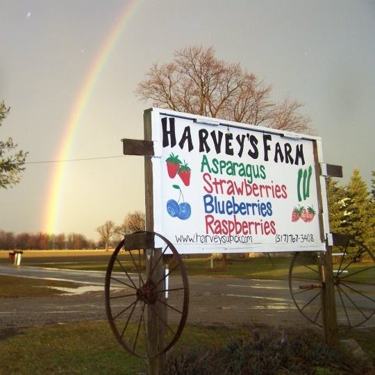Harvey's Farm