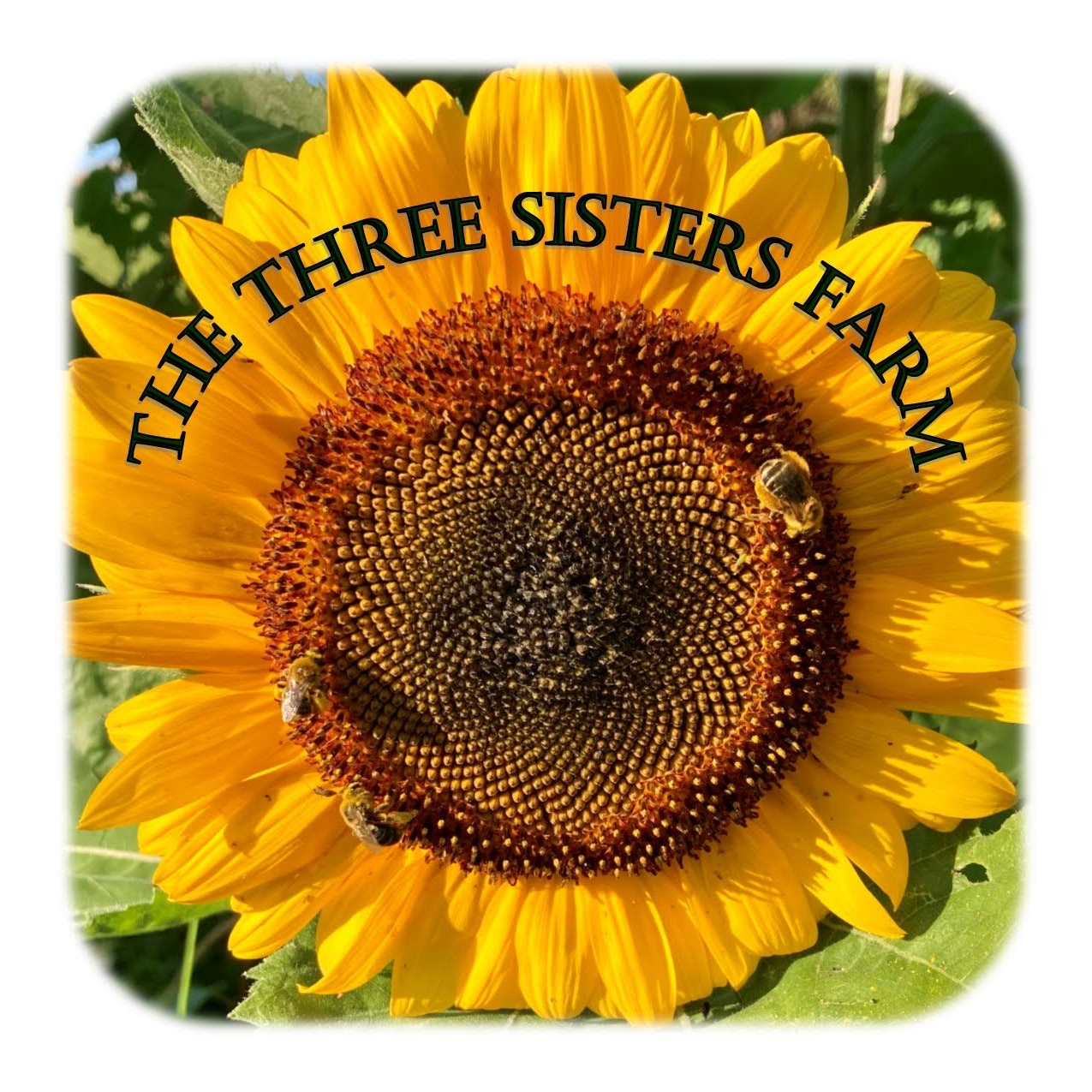 The Three Sisters Farm