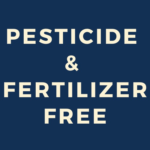 Pesticide/Fertilizer Free: Pesticide and Chemical Fertilizer Free