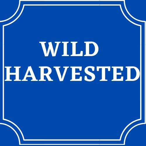 Wild Harvested: Wild Harvested
