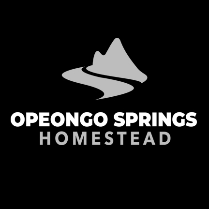 Opeongo Springs Homestead