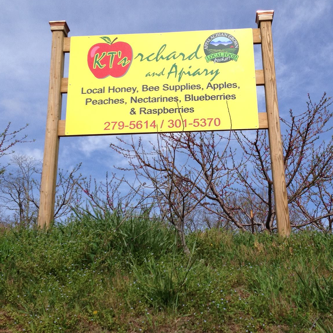 KT's Orchard & Apiary