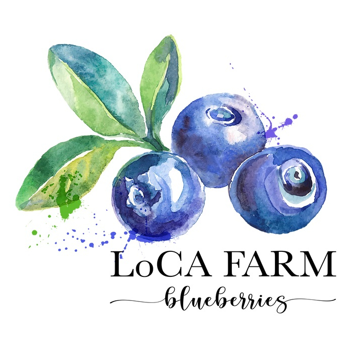 LoCA Blueberry Farm