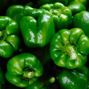 Bell Peppers, Green