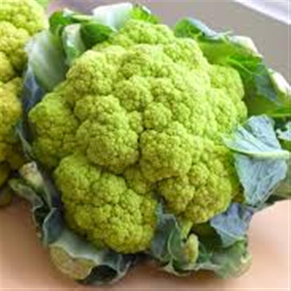 Cauliflower, Green