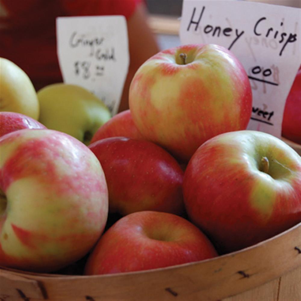 Apples, Honey Crisp