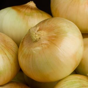 Sweet Onion, Yellow