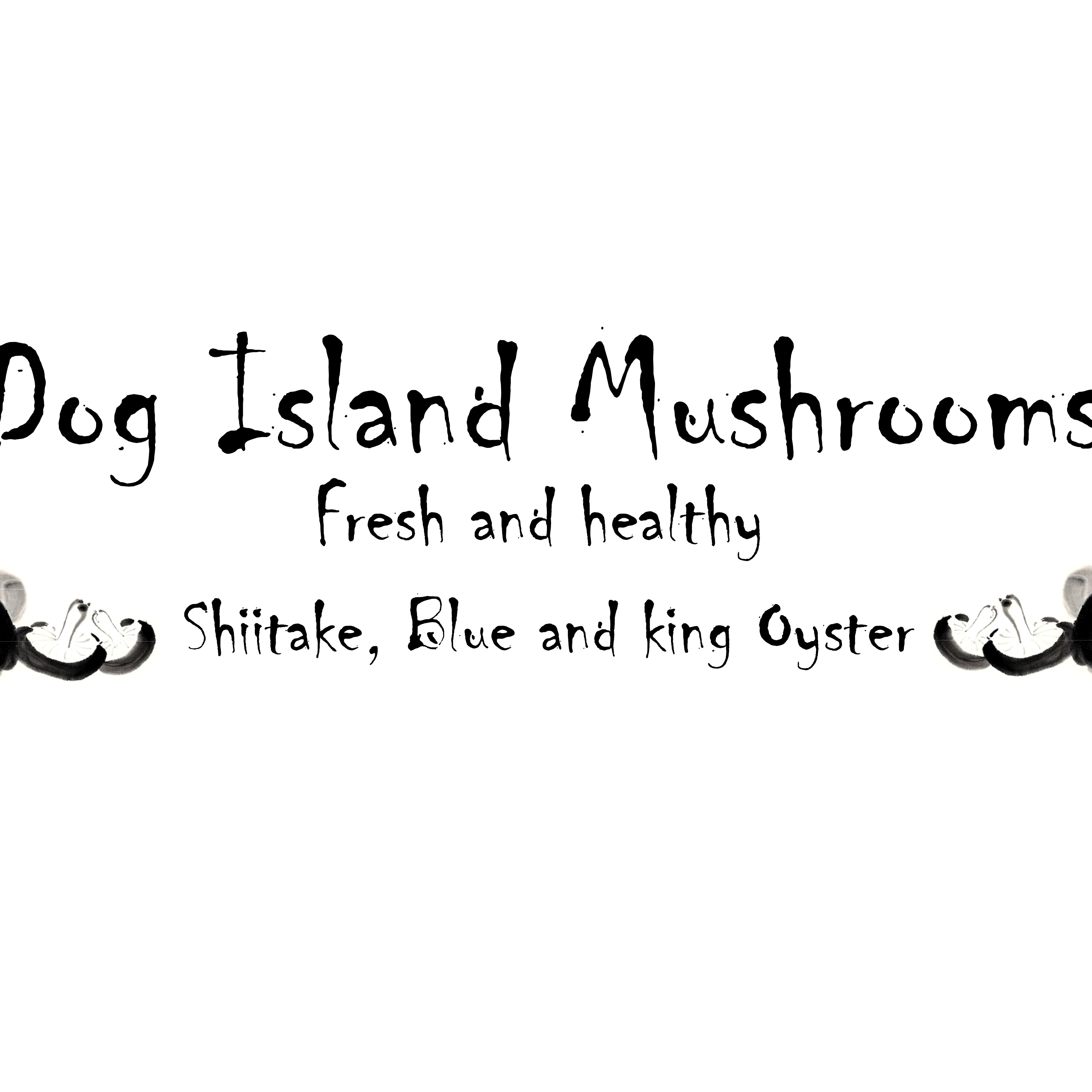 Dog Island Mushrooms