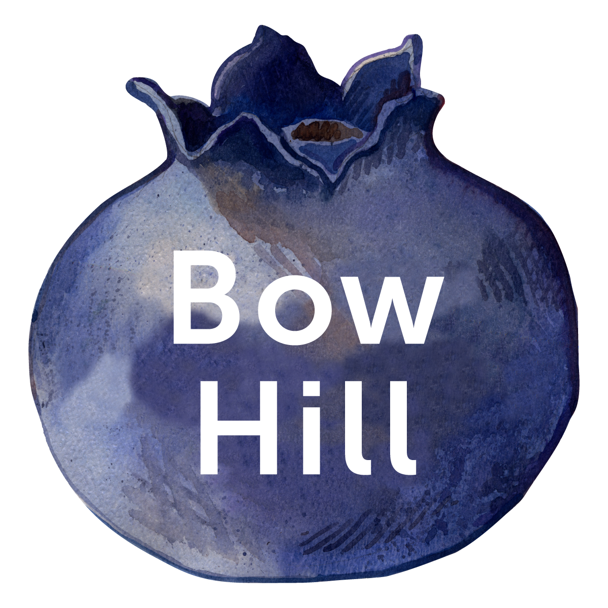 Bow Hill Blueberries