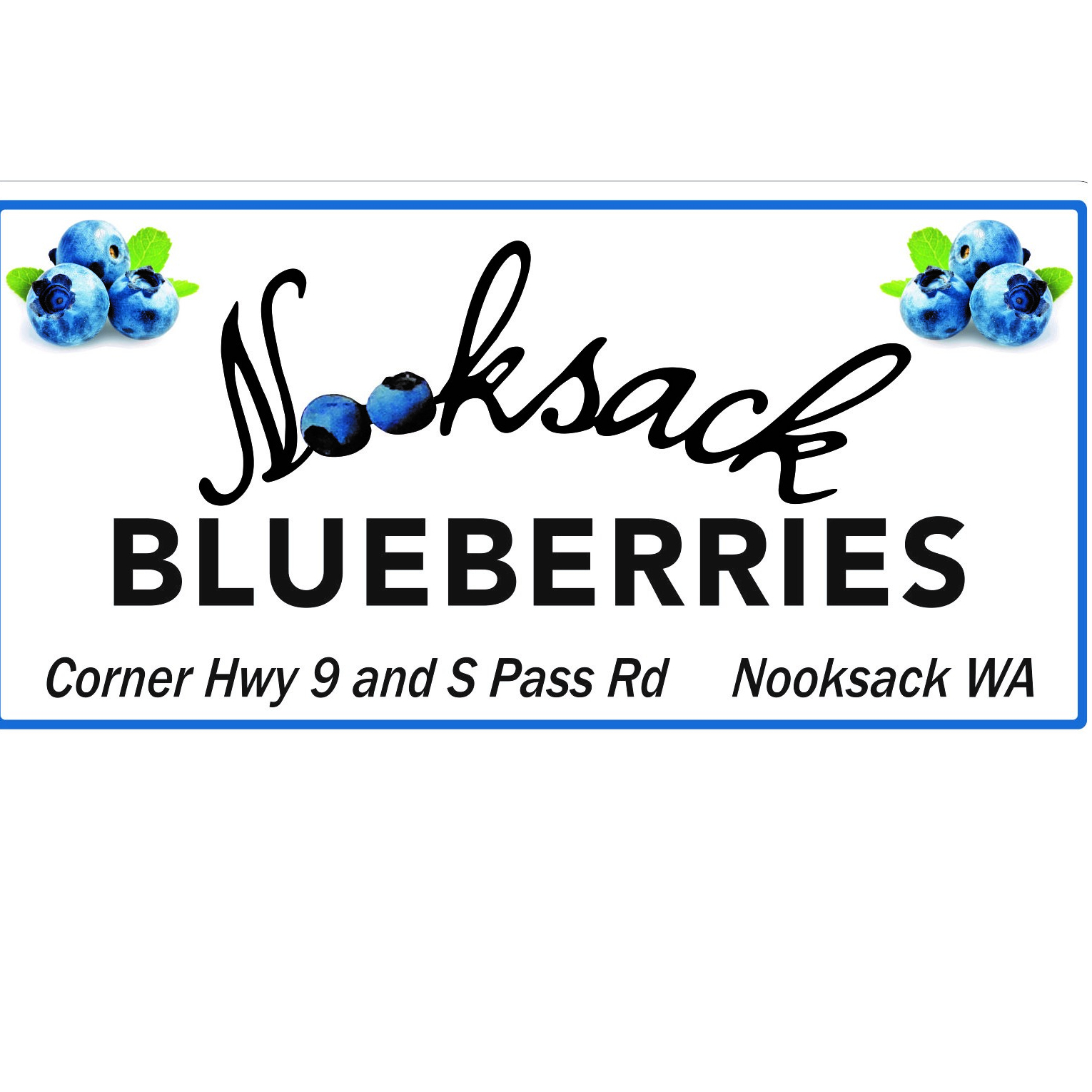 Nooksack Blueberries