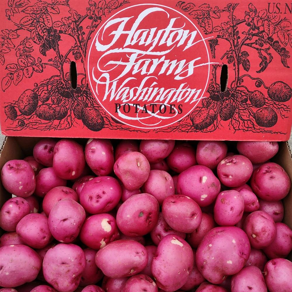 RED POTATOES  Starcrest Farm