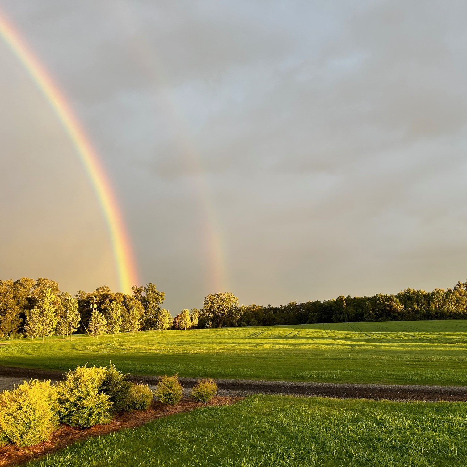 Hycrest Farm