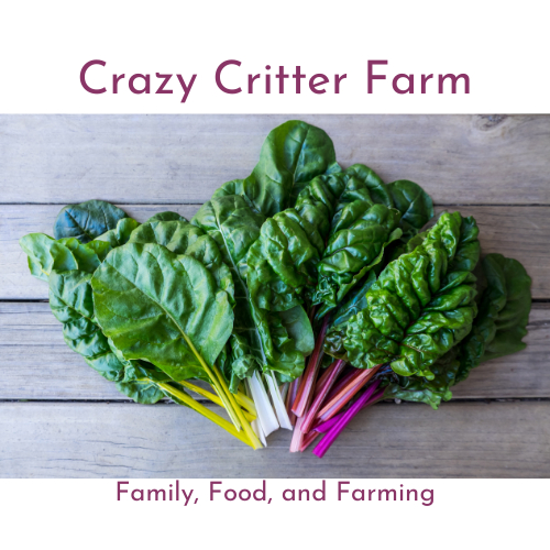 Crazy Critter Farm
