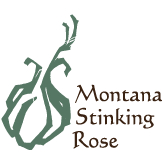 Montana Stinking Rose