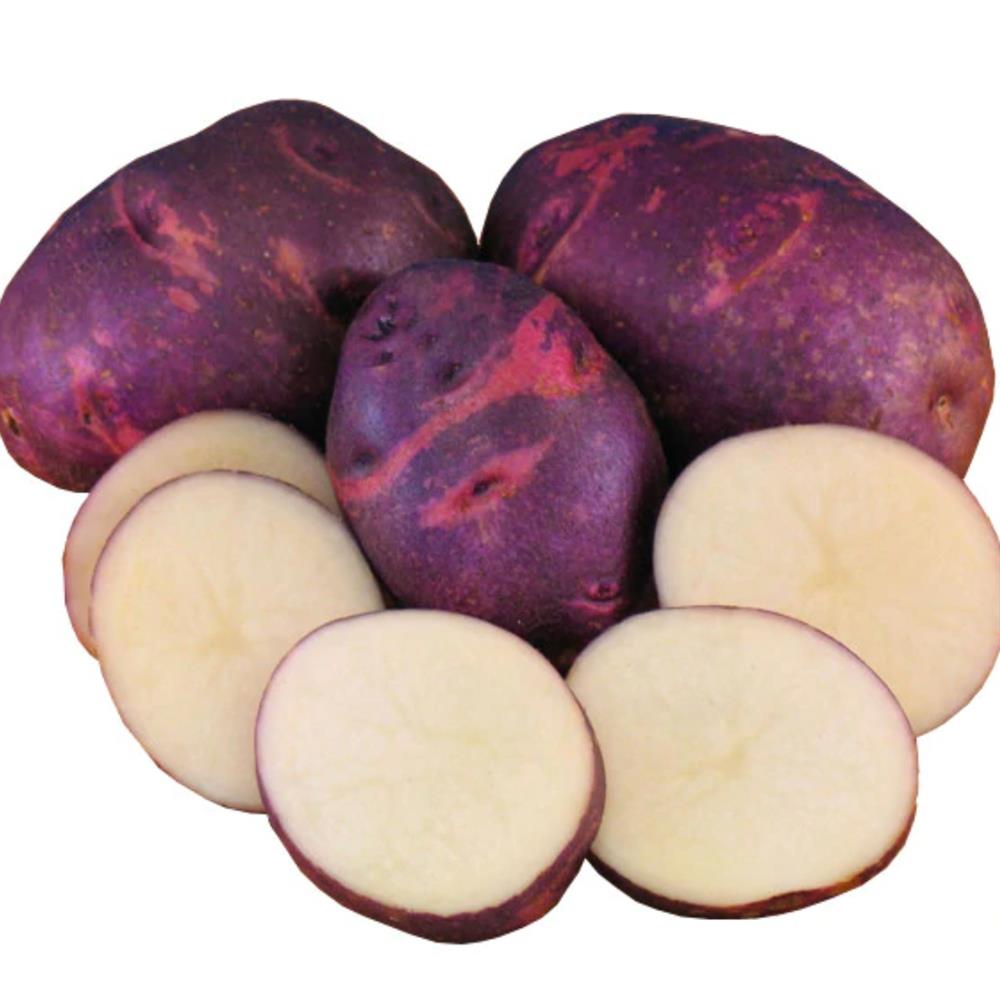 File:Purple Rain (potatoe) jm154777.jpg - Wikimedia Commons