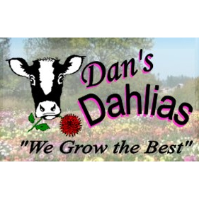 Dan's Dahlias