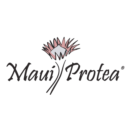 Maui Protea