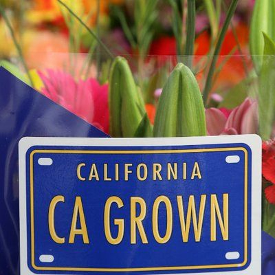  California Flower Growers