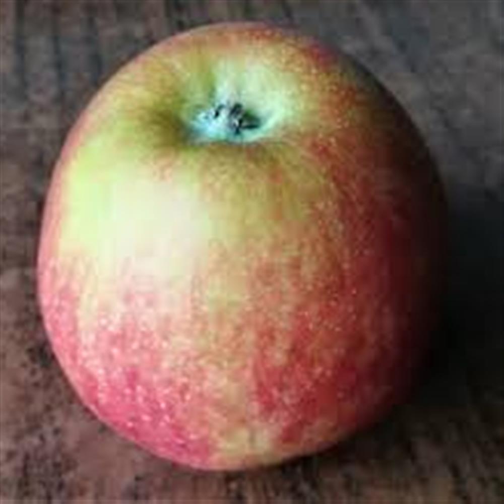 RED DELICIOUS APPLES (AVG. 0.75LB) per/LB