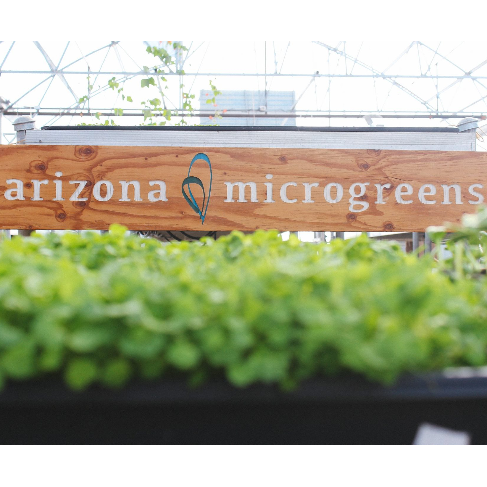 Arizona Microgreens